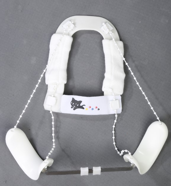 Pavlik Harness